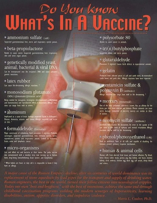 What Is In Vaccines
